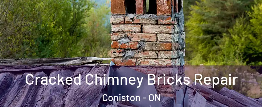  Cracked Chimney Bricks Repair Coniston - ON