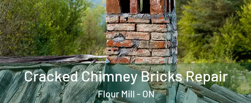  Cracked Chimney Bricks Repair Flour Mill - ON