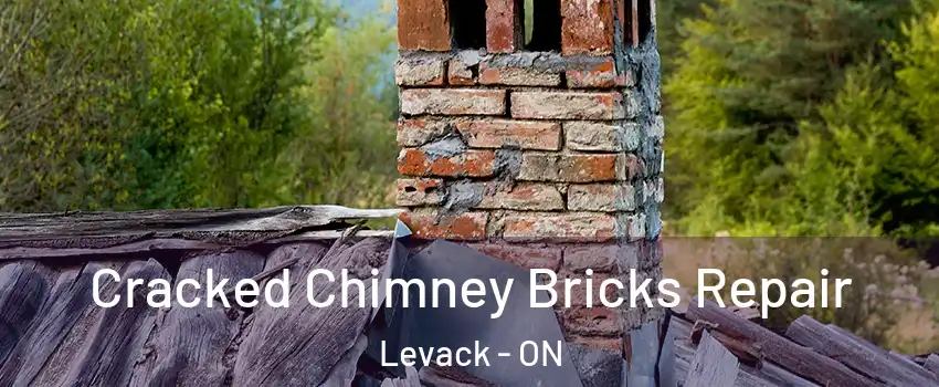  Cracked Chimney Bricks Repair Levack - ON