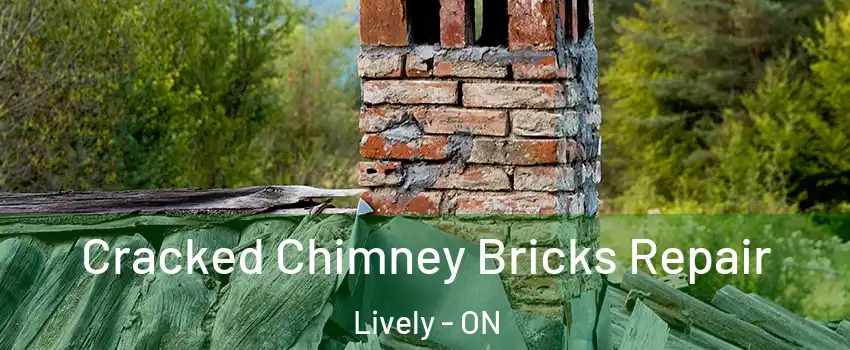 Cracked Chimney Bricks Repair Lively - ON