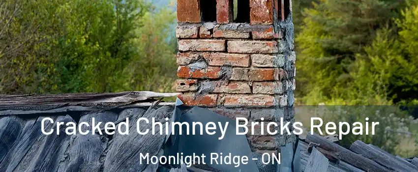  Cracked Chimney Bricks Repair Moonlight Ridge - ON