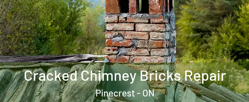  Cracked Chimney Bricks Repair Pinecrest - ON