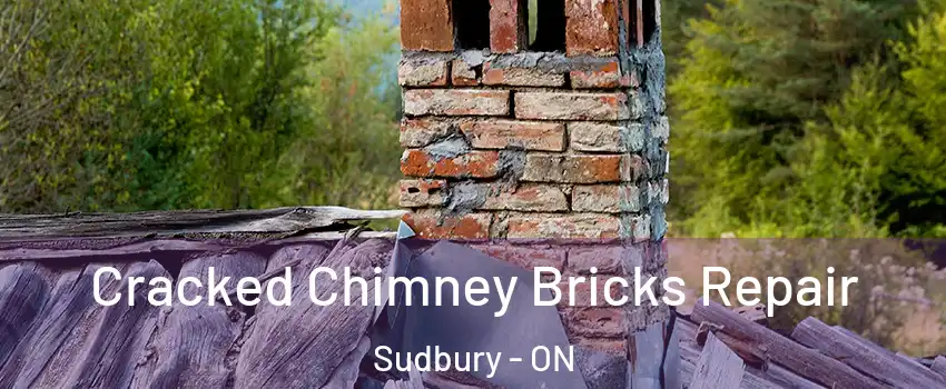 Cracked Chimney Bricks Repair Sudbury - ON