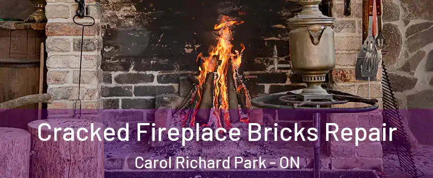  Cracked Fireplace Bricks Repair Carol Richard Park - ON