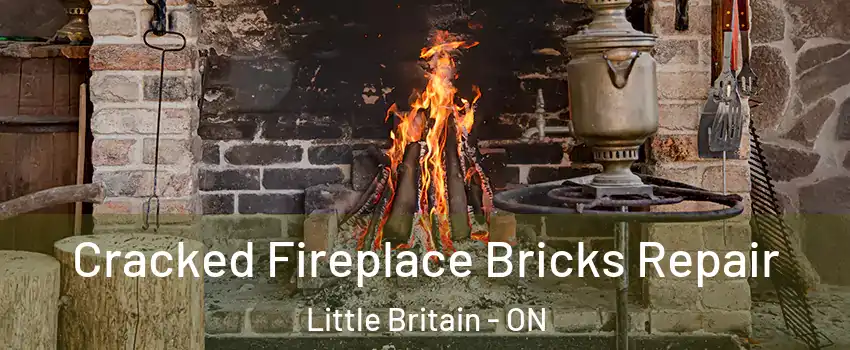  Cracked Fireplace Bricks Repair Little Britain - ON