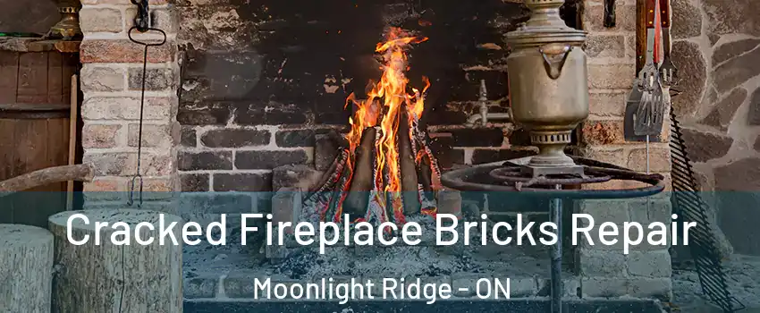  Cracked Fireplace Bricks Repair Moonlight Ridge - ON