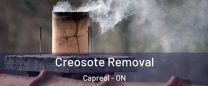  Creosote Removal Capreol - ON