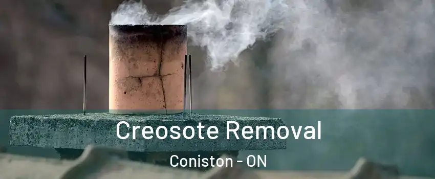  Creosote Removal Coniston - ON