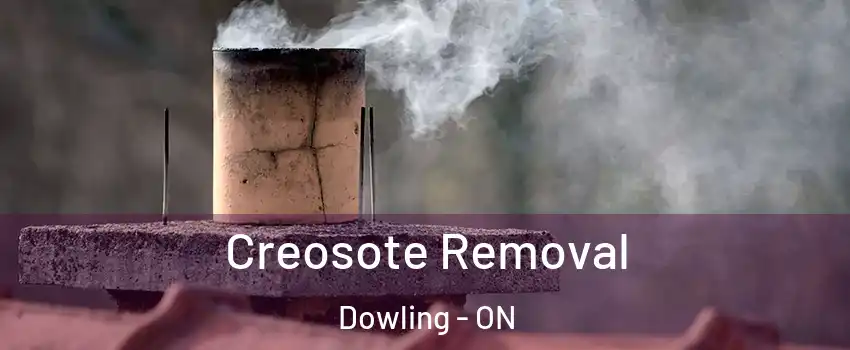  Creosote Removal Dowling - ON