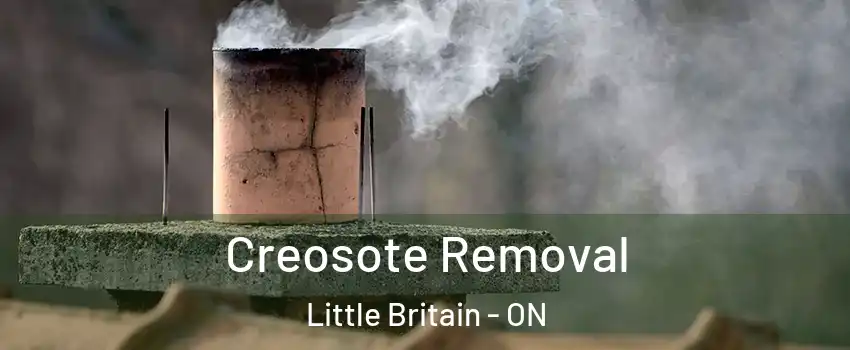  Creosote Removal Little Britain - ON