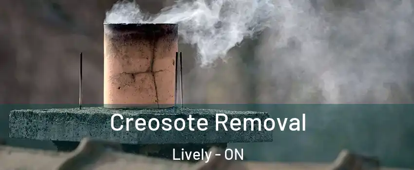  Creosote Removal Lively - ON