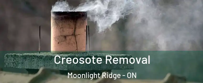  Creosote Removal Moonlight Ridge - ON