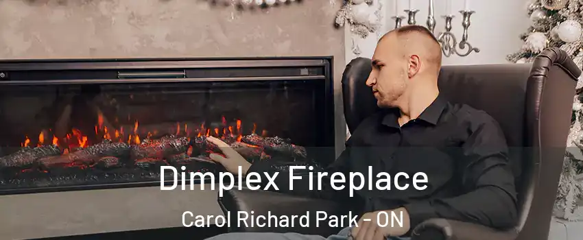  Dimplex Fireplace Carol Richard Park - ON
