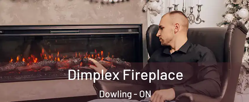  Dimplex Fireplace Dowling - ON