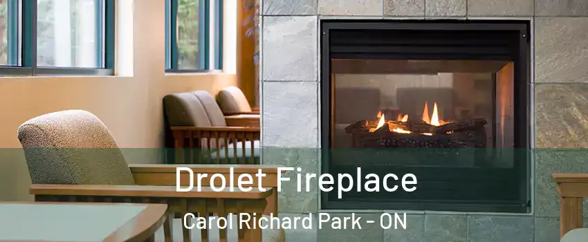 Drolet Fireplace Carol Richard Park - ON