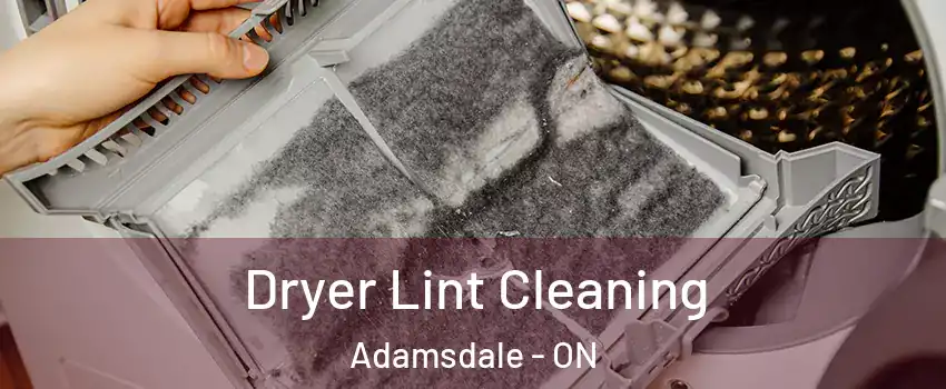  Dryer Lint Cleaning Adamsdale - ON