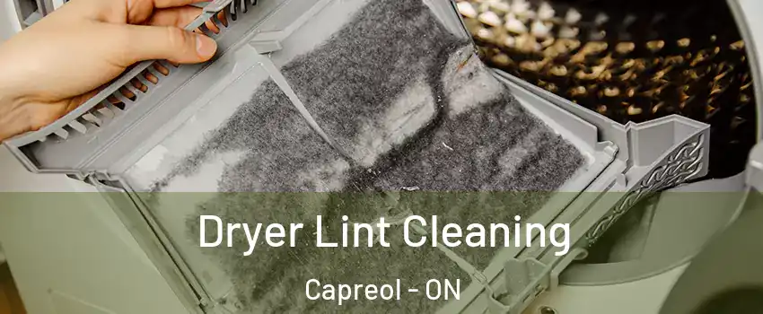  Dryer Lint Cleaning Capreol - ON