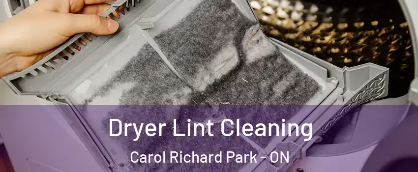  Dryer Lint Cleaning Carol Richard Park - ON