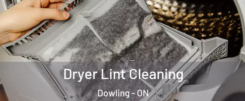  Dryer Lint Cleaning Dowling - ON