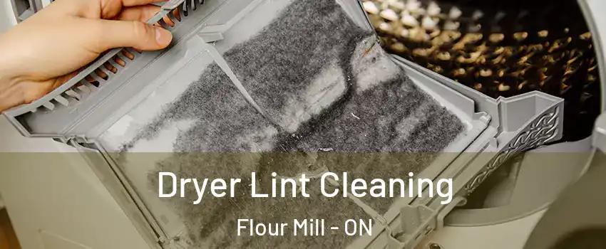  Dryer Lint Cleaning Flour Mill - ON