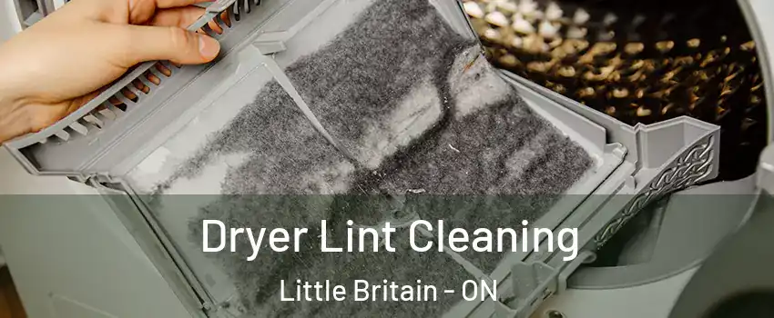  Dryer Lint Cleaning Little Britain - ON
