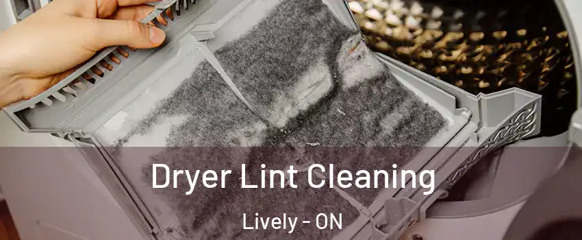  Dryer Lint Cleaning Lively - ON