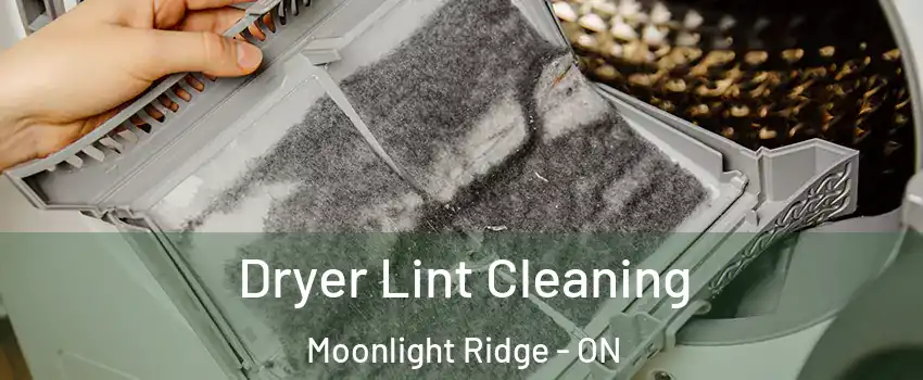  Dryer Lint Cleaning Moonlight Ridge - ON