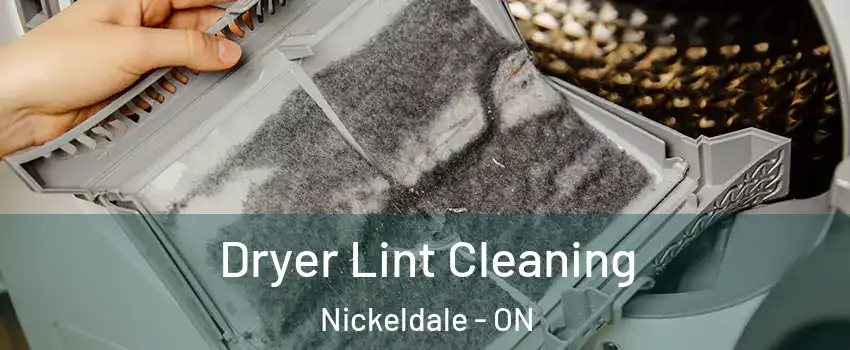  Dryer Lint Cleaning Nickeldale - ON