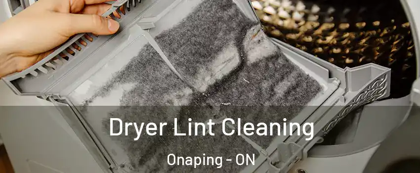  Dryer Lint Cleaning Onaping - ON