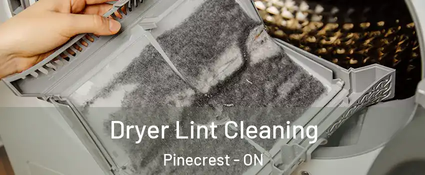  Dryer Lint Cleaning Pinecrest - ON