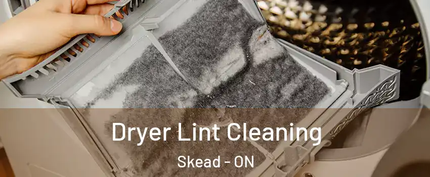  Dryer Lint Cleaning Skead - ON