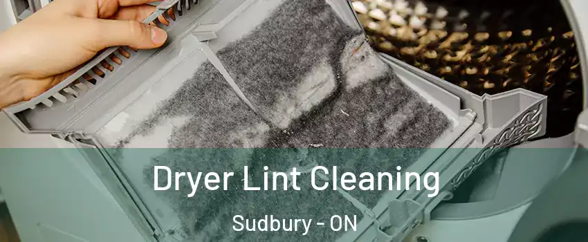  Dryer Lint Cleaning Sudbury - ON