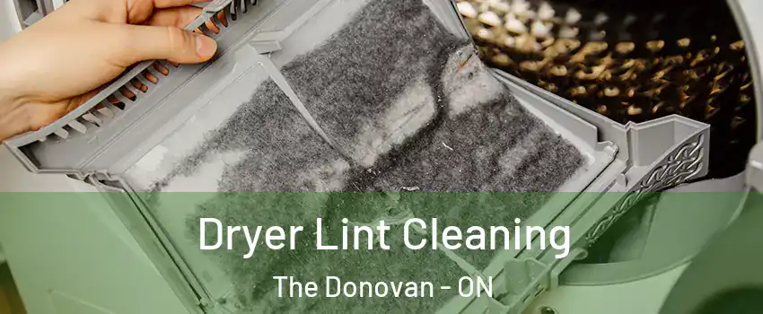  Dryer Lint Cleaning The Donovan - ON