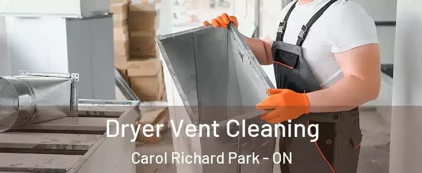  Dryer Vent Cleaning Carol Richard Park - ON