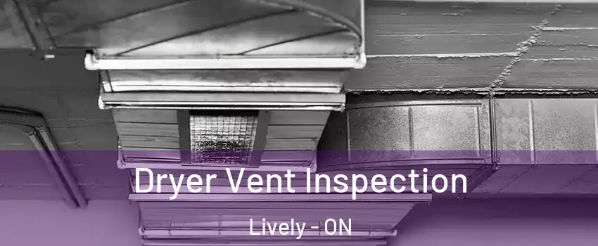  Dryer Vent Inspection Lively - ON