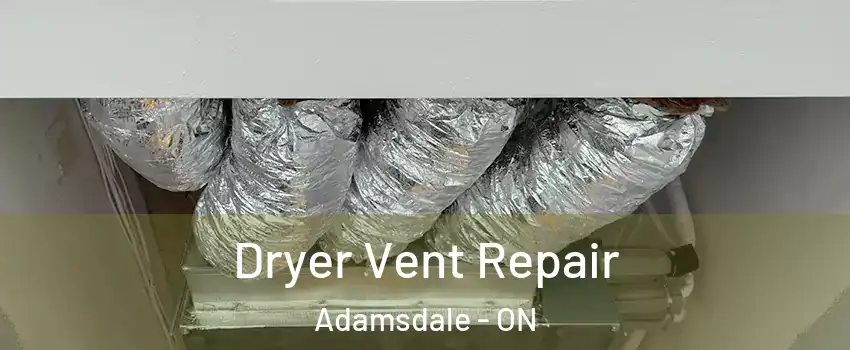  Dryer Vent Repair Adamsdale - ON