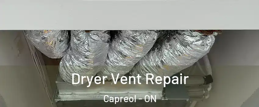  Dryer Vent Repair Capreol - ON