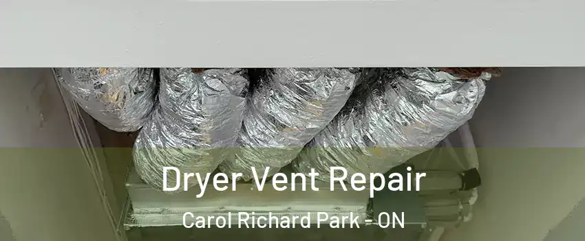  Dryer Vent Repair Carol Richard Park - ON