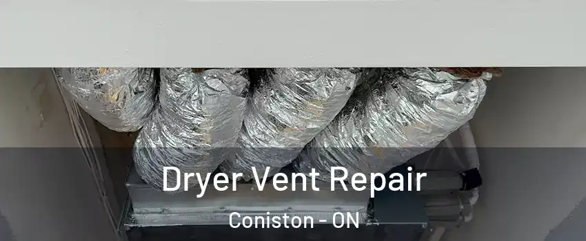  Dryer Vent Repair Coniston - ON