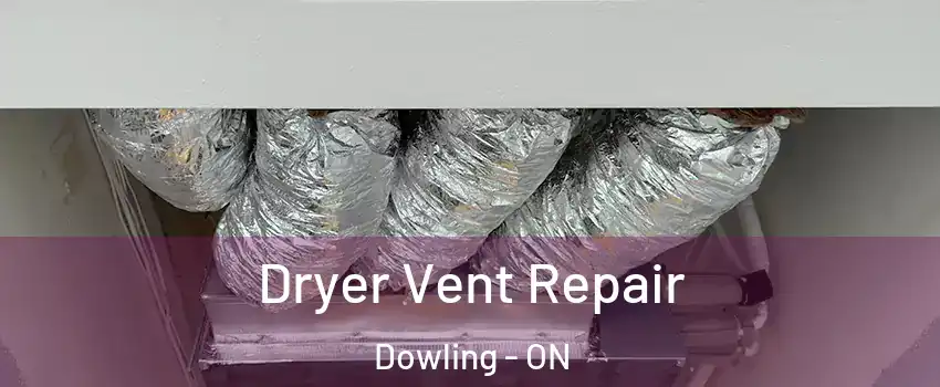  Dryer Vent Repair Dowling - ON
