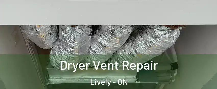  Dryer Vent Repair Lively - ON