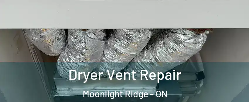  Dryer Vent Repair Moonlight Ridge - ON
