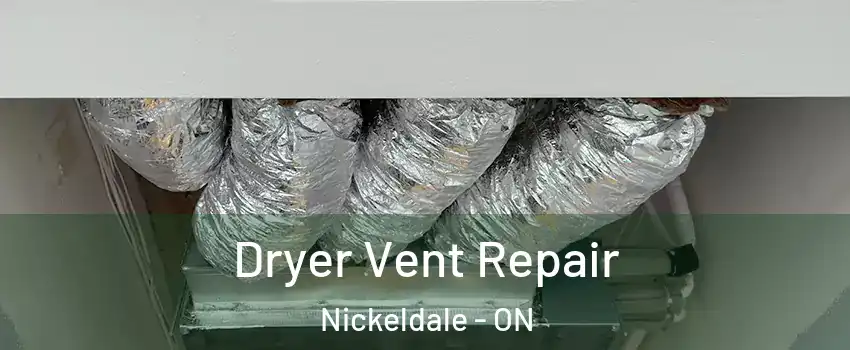  Dryer Vent Repair Nickeldale - ON