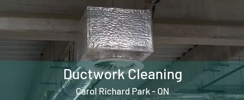  Ductwork Cleaning Carol Richard Park - ON
