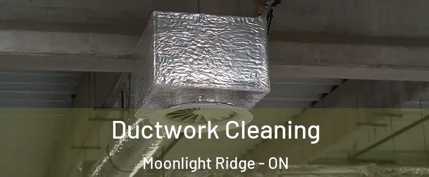  Ductwork Cleaning Moonlight Ridge - ON