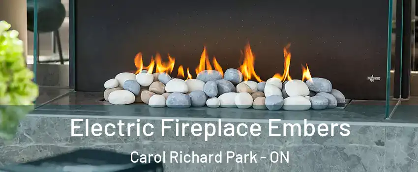  Electric Fireplace Embers Carol Richard Park - ON