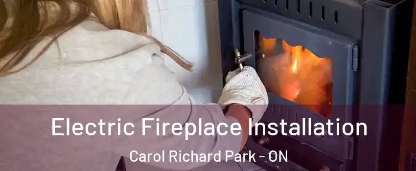  Electric Fireplace Installation Carol Richard Park - ON