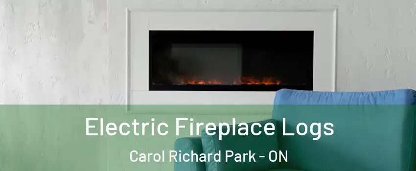  Electric Fireplace Logs Carol Richard Park - ON