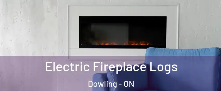  Electric Fireplace Logs Dowling - ON