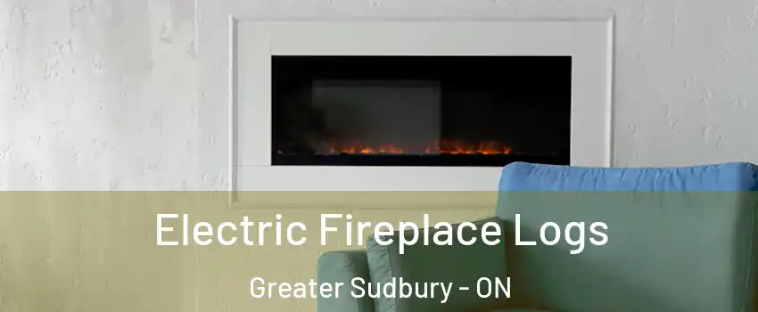  Electric Fireplace Logs Greater Sudbury - ON